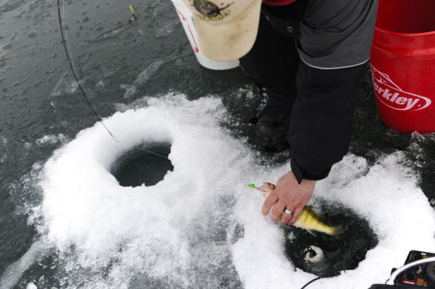 Perch Derby on Canyon Ferry